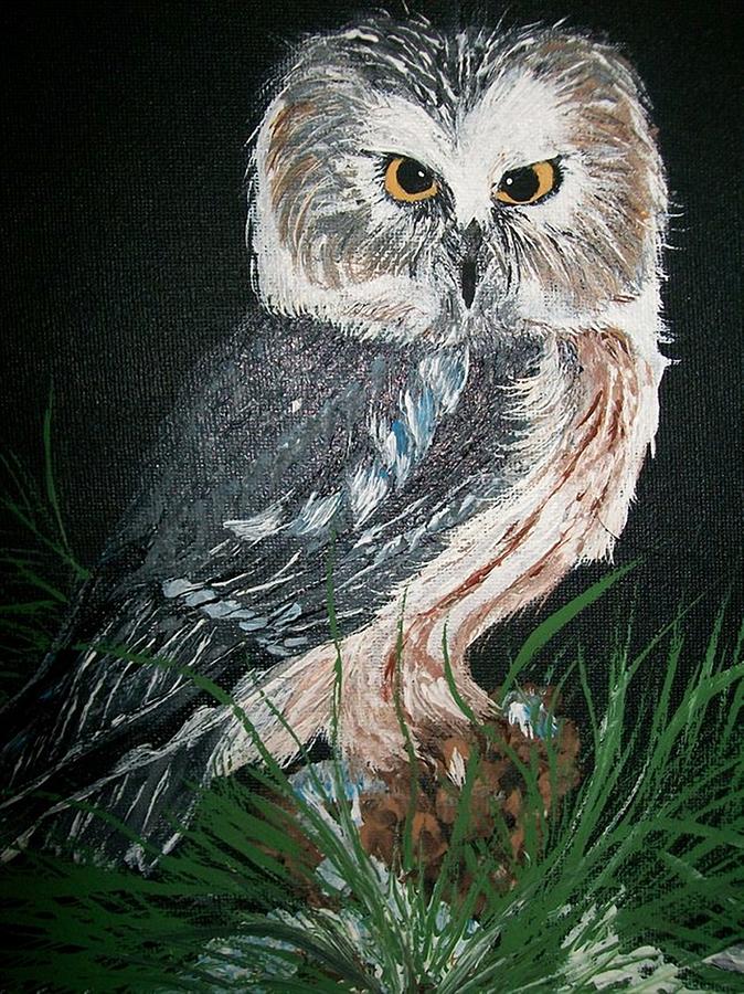 Northern Saw-whet Owl Painting by Sharon Duguay