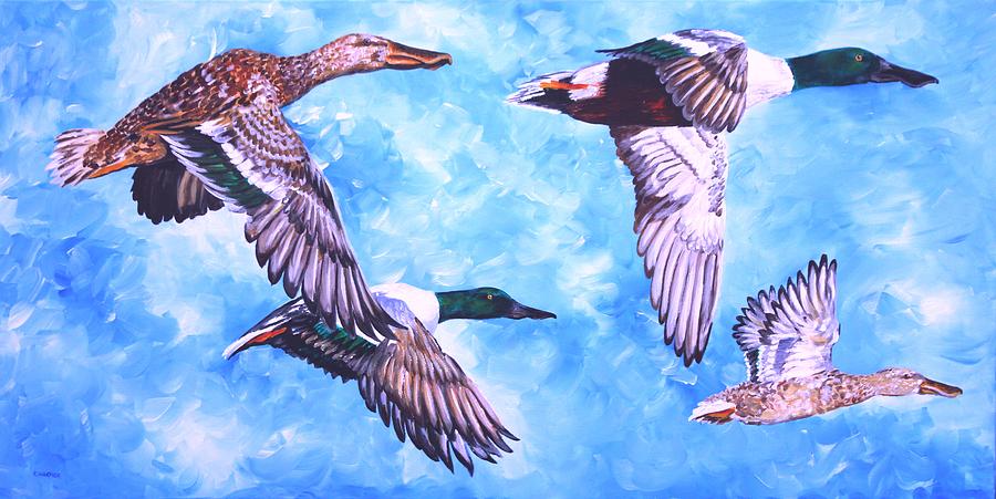 Northern Shovelers Painting by Karl Wagner