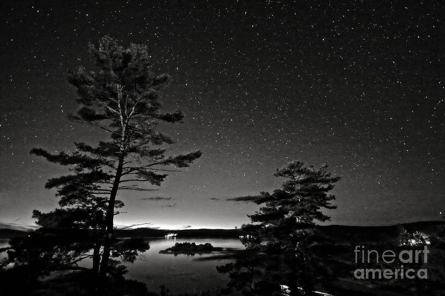 Northern Starry Sky Black White Photograph by Charline Xia
