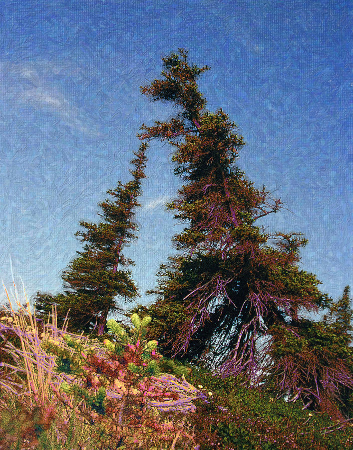 Northern Tree Line Digital Art - Northern Tree Line #1 by Alice Ramirez