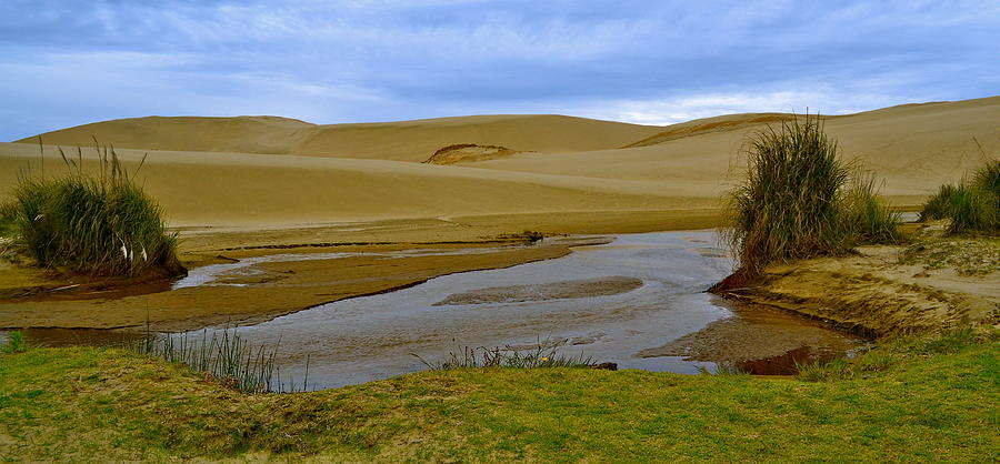 Northland Sands Photograph by Naturae Sua - Fine Art America