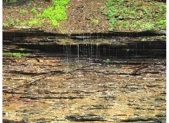 Nature Photograph - Northup Falls 8 by Angela Smith