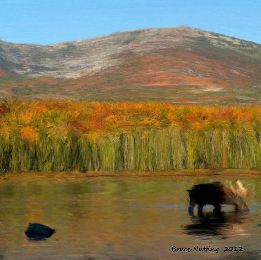 Northwest Moose Painting by Bruce Nutting