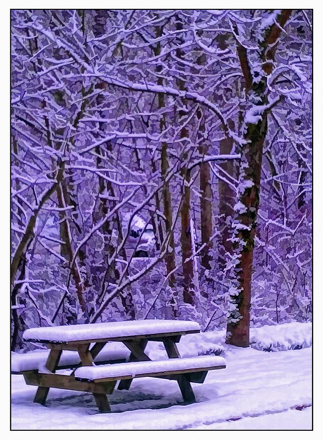 Northwest Snow Bench Photograph by Ken Stanback