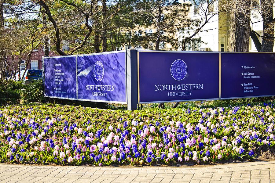 Northwestern University Entrance Photograph by Marisa Geraghty Photography