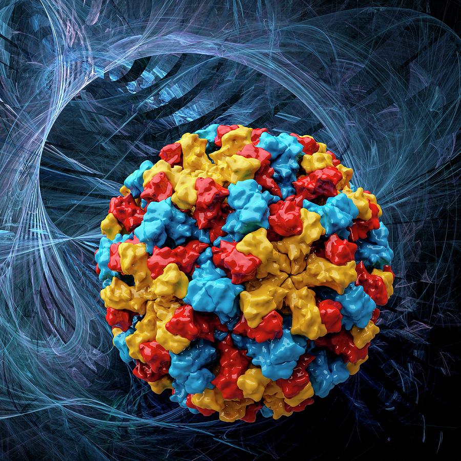 Norwalk Virus Capsid Photograph by Laguna Design/science Photo Library ...