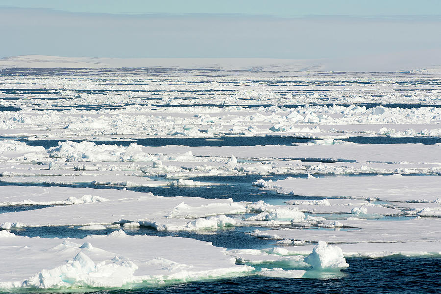 Norway Svalbard Hinlopen Strait Drift Photograph by Inger Hogstrom ...