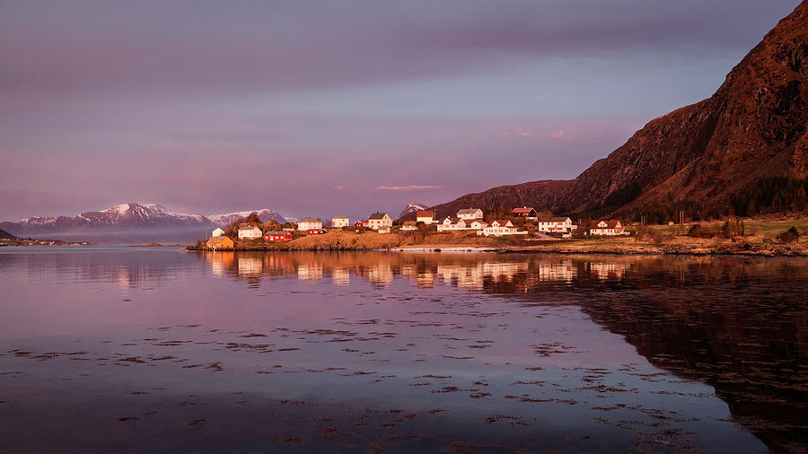 Norwegian Coastal Village In Low Photograph by Runar Vestli