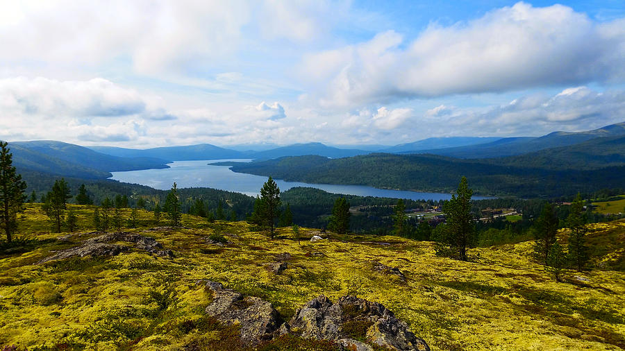 Norwegian Landscape 3 Photograph by Carol Eliassen