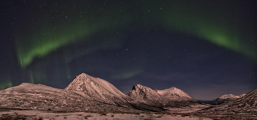 Norwegian Lights Photograph by Wade Aiken