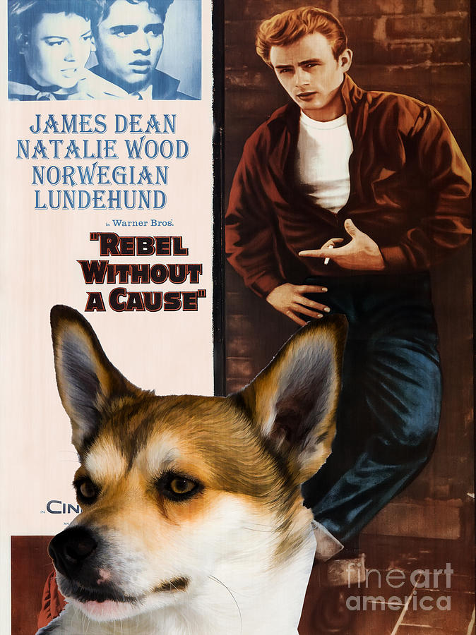 Norwegian Lundehund Art Canvas Print - Rebel without a Cause Movie Poster Painting by Sandra Sij