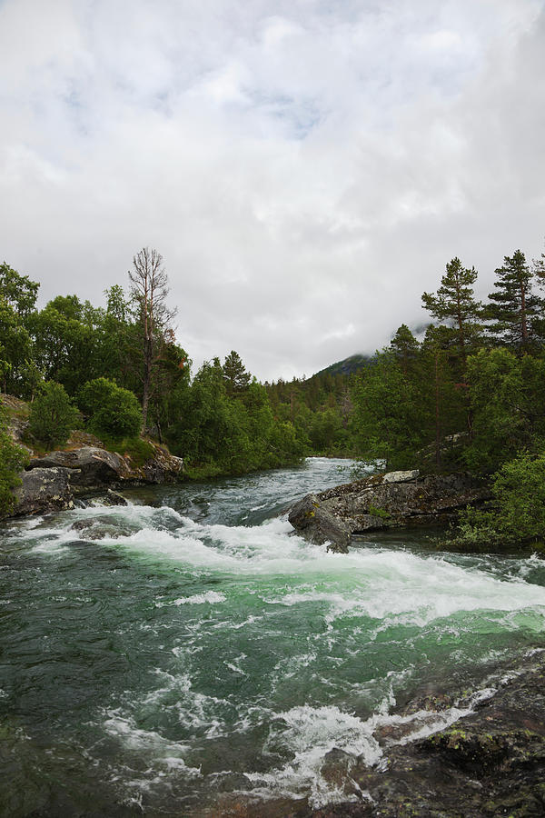 Norwegian River In Summer Photograph by Ekely