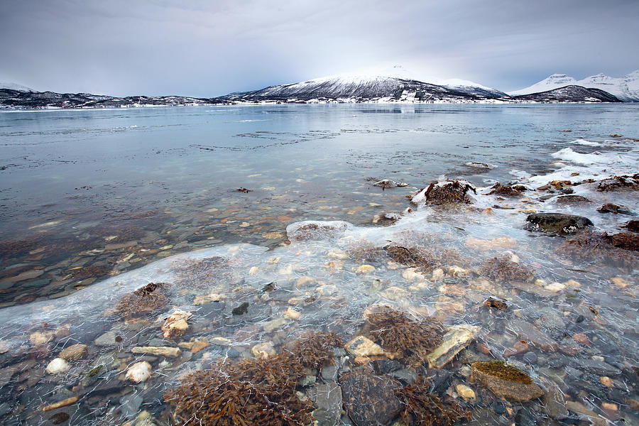 Norwegian Winter Landscape Frozen Fjord Photograph by Andrea Ricordi, Italy