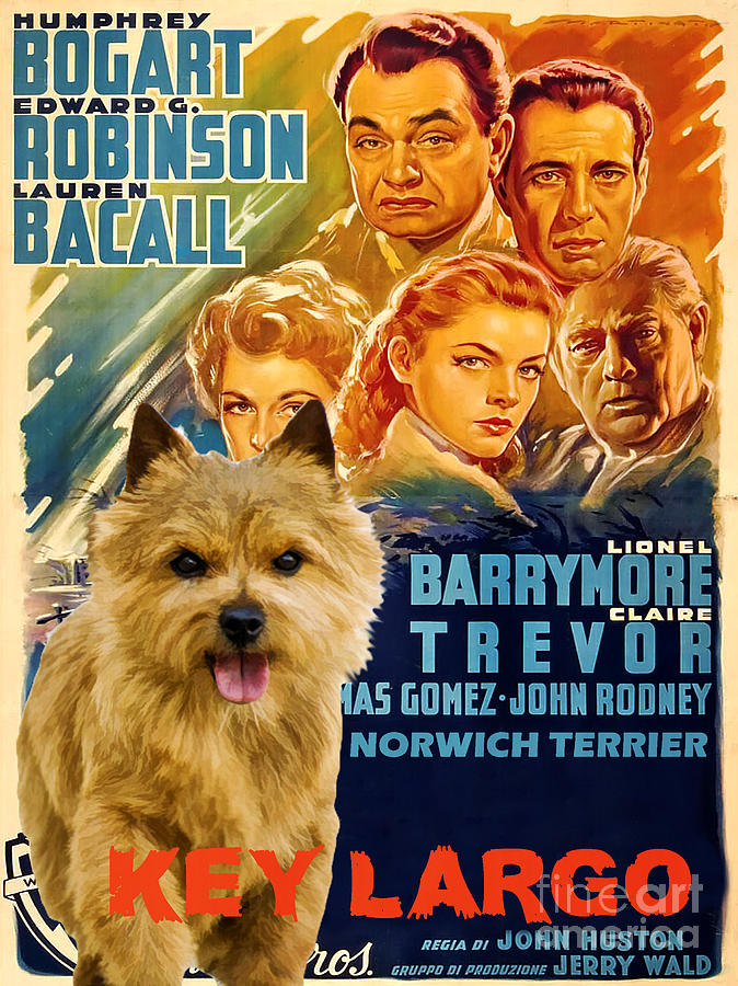 Norwich Terrier Art Canvas Print - Key Largo Movie Poster Painting by Sandra Sij