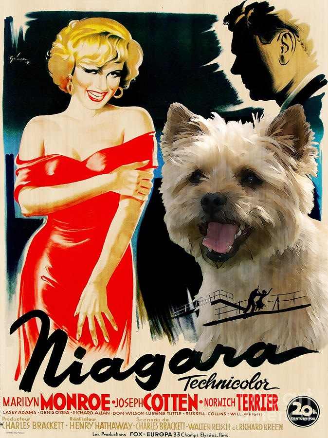 Norwich Terrier Art Canvas Print - Niagara Movie Poster Painting by Sandra Sij