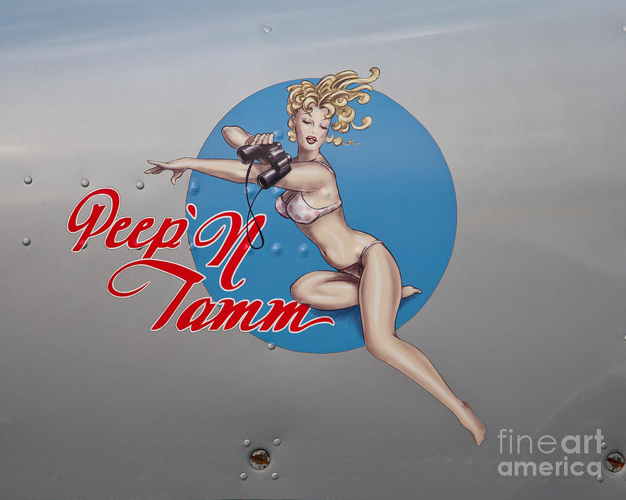 Airplane Photograph - Nose Art by Stephen Whalen