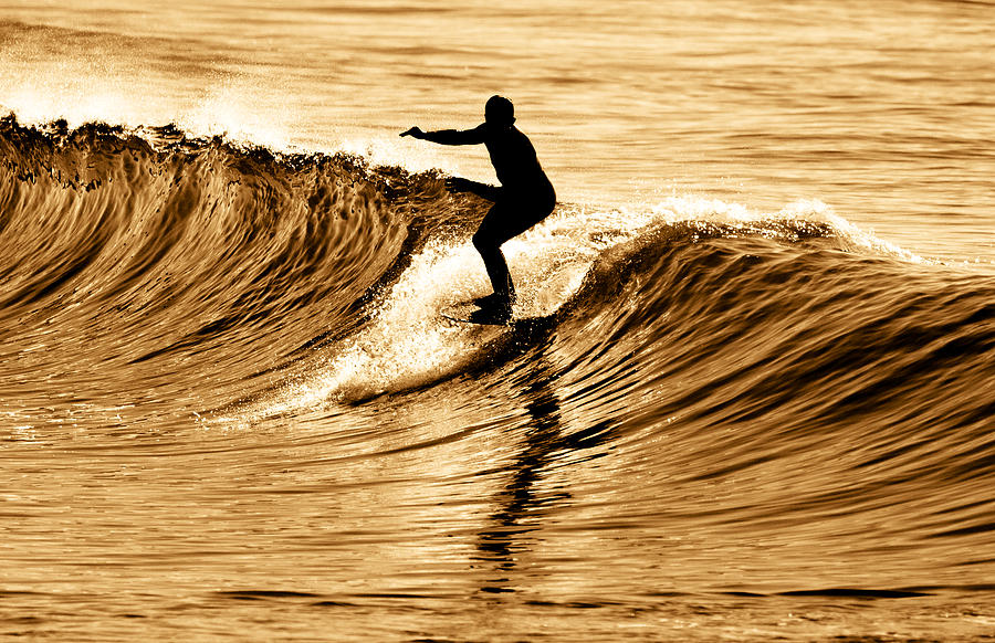 Vintage Photograph - Noseriding on Waves of Gold by Andy Langeland