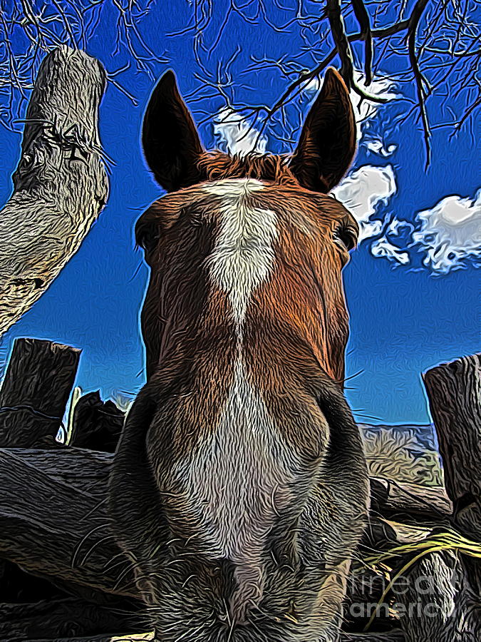 Horse Digital Art - Nosey II by Jen  Brooks Art