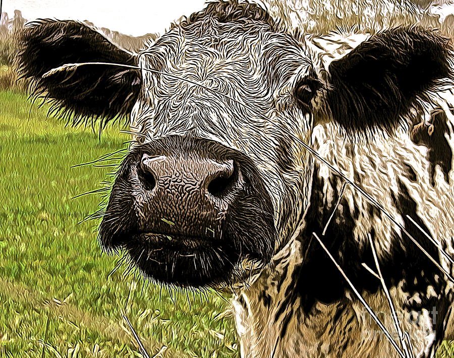 Cow Digital Art - Nosey by Jen  Brooks Art