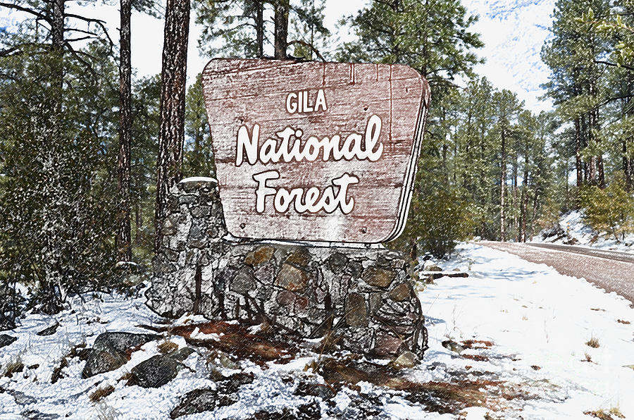 Nostalgic Gila National Forest Roadside Sign New Mexico Colored Pencil Digital Art Digital Art by Shawn OBrien