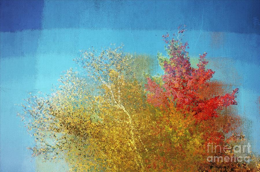 Tree Photograph - Not Only Some Other Autumn Trees - c02j01 by Variance Collections