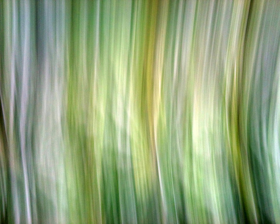 Abstract Photograph - Not Perfect by Munir Alawi