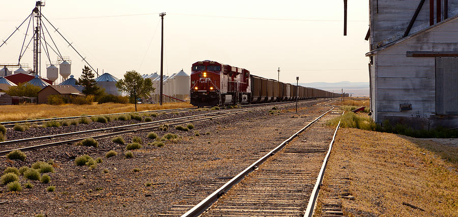 CPR freight train running thru, Moccasin, Montana, USA Photograph by Mick Flynn