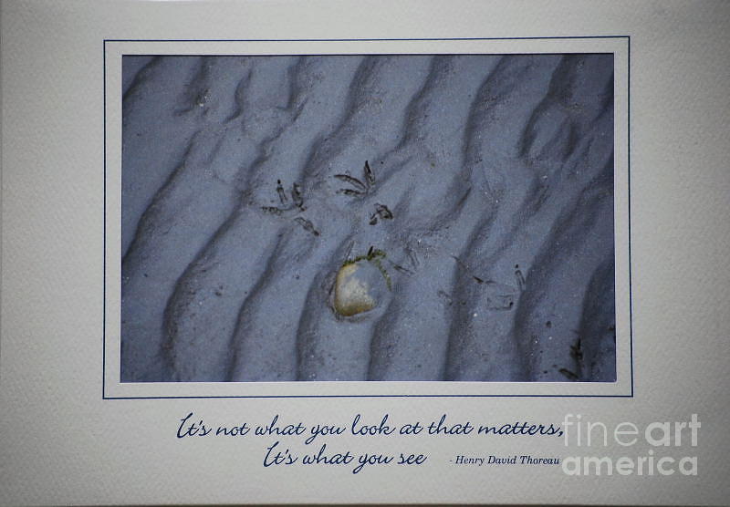 Not What You Look At     Footprints Photograph by Sharon Elliott