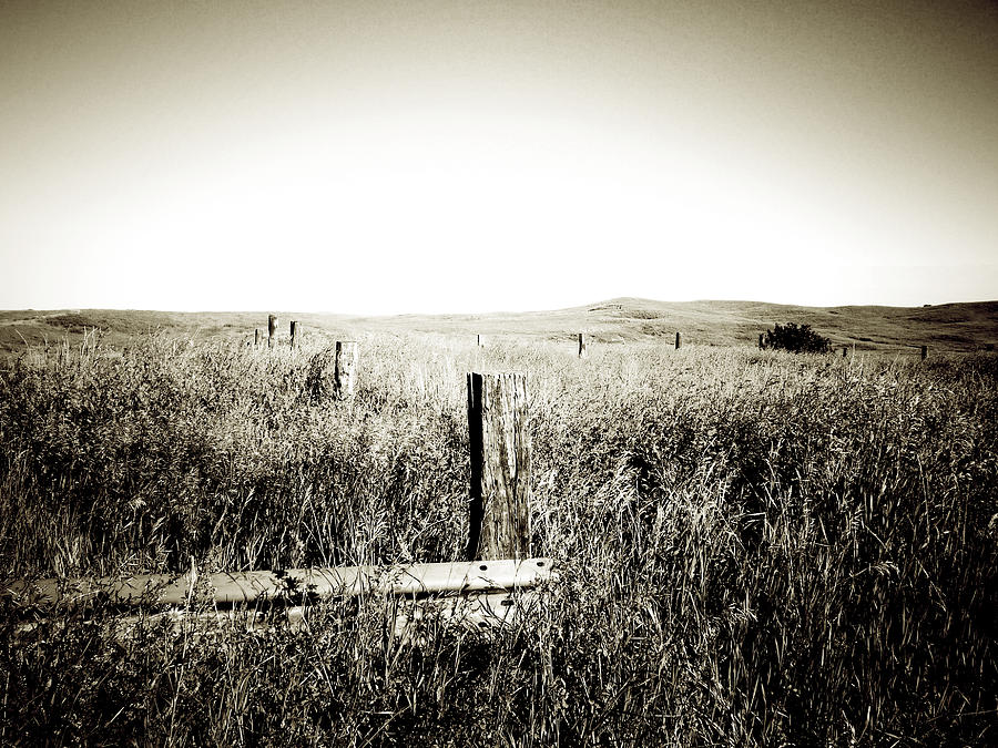 Nature Photograph - Nothing Here But Us Fence Posts by Terry Eve Tanner