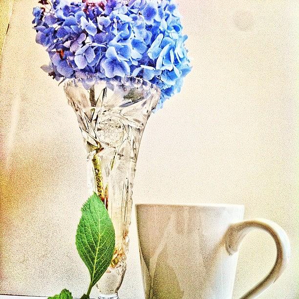 Flower Photograph - Nothing Like An #afternoon #cupoftea by Artondra Hall