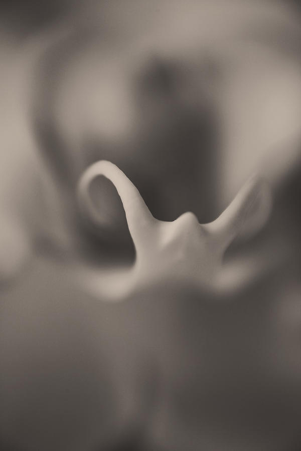 Nothingness Photograph by Laurie Search Nothingness Photograph by Laurie Search