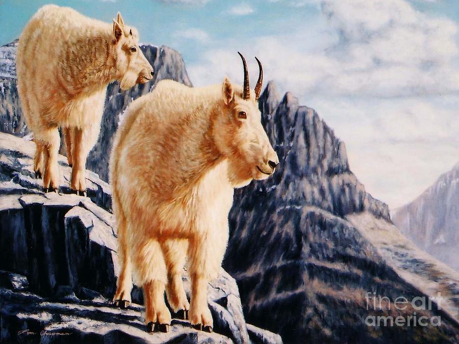 Notice on High Mountain Goats Painting by Tom Chapman