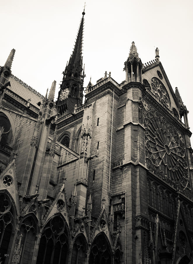 Notre Dame - for Eugene Atget Photograph by Ross Henton