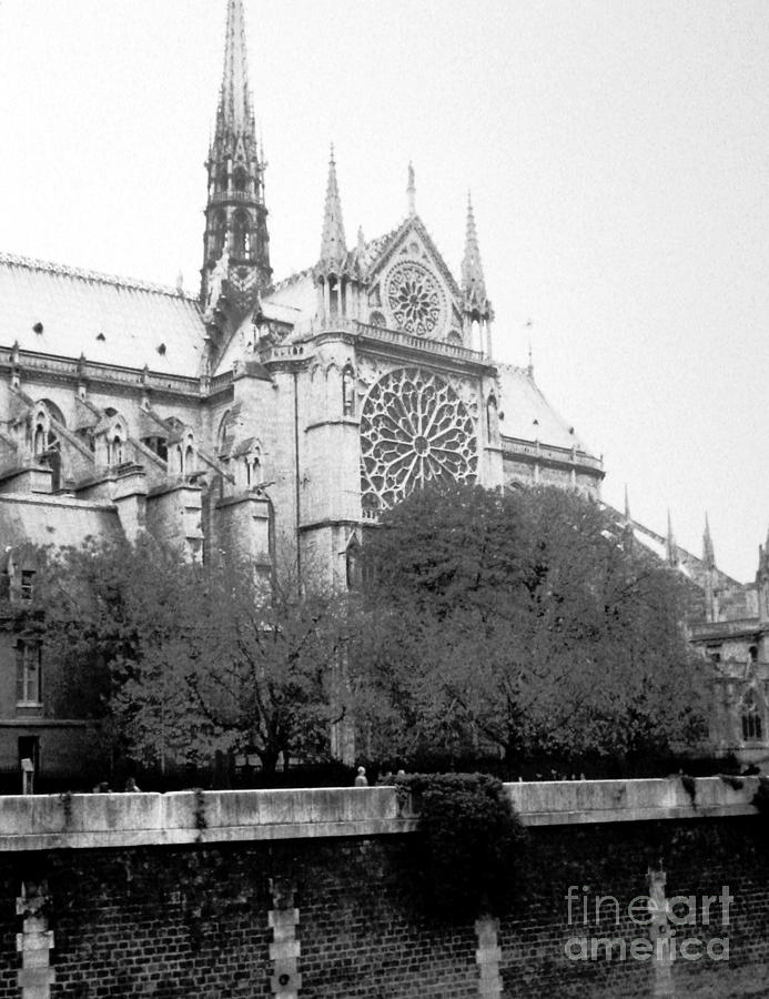 Notre Dame . Paris France Photograph by Patricia Januszkiewicz