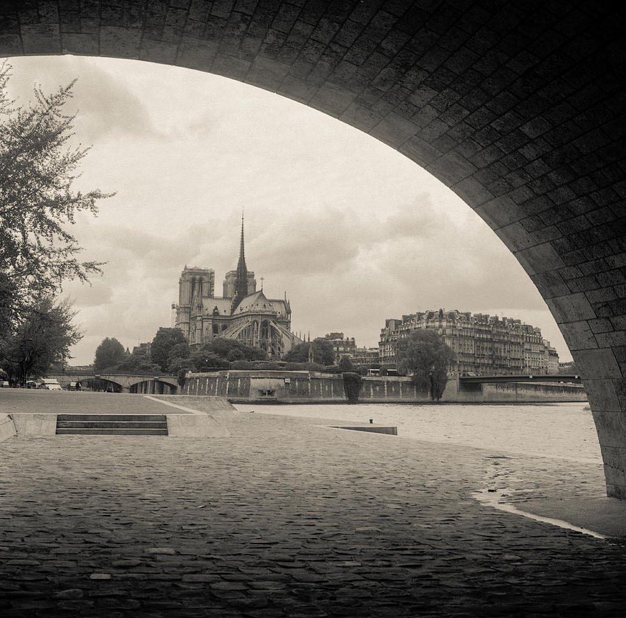 Notre Dame 3 Photograph by Matthew Pace