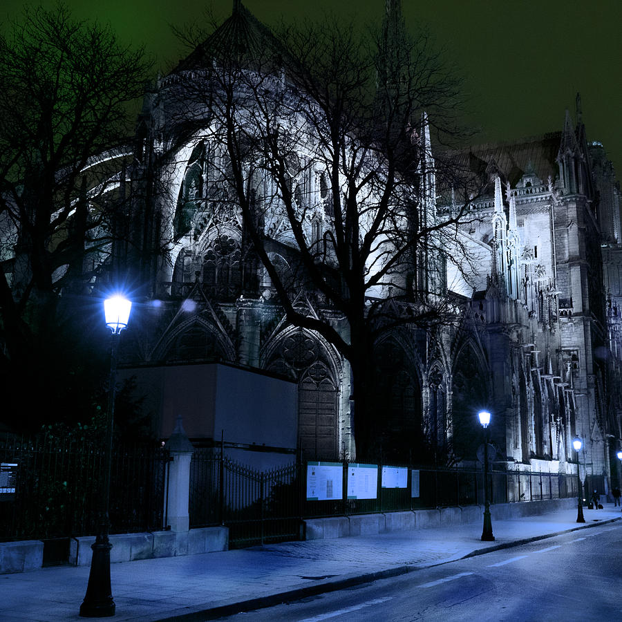Notre Dame at Midnight Photograph by Evie Carrier