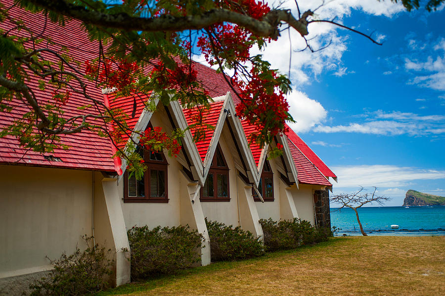 Notre Dame Auxiliatrice. Mauritius Photograph by Jenny Rainbow
