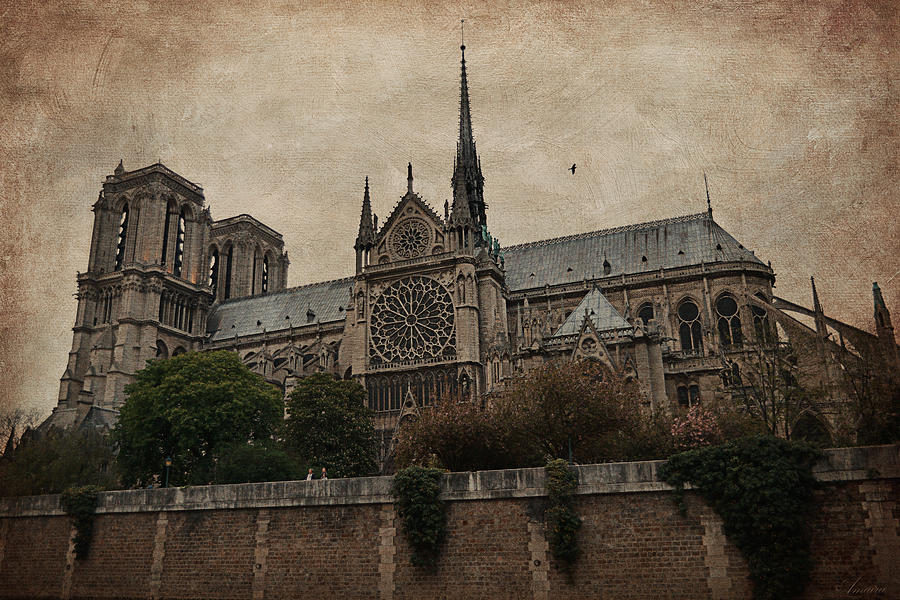 Notre Dame Cathedral - Paris Photograph by Maria Angelica Maira