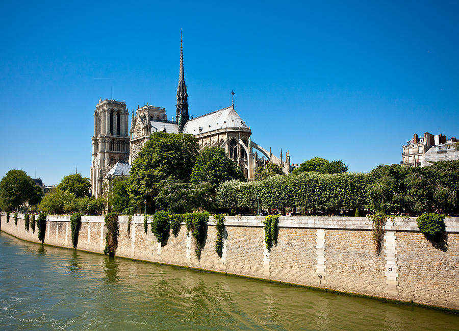 Notre Dame Cathedral and the Seine Photograph by Anthony Doudt