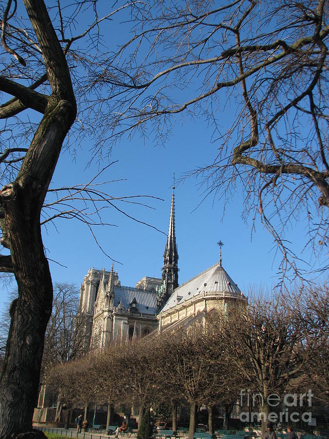 Notre Dame de Paris Digital Art by Edna W - Fine Art America