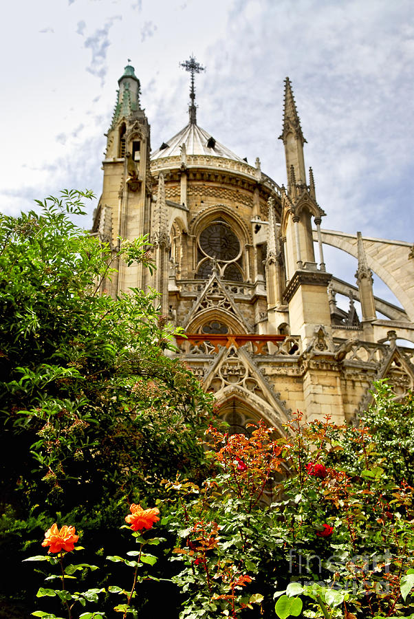 Paris Photograph - Notre Dame de Paris 3 by Elena Elisseeva