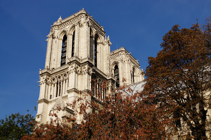 Notre-Dame de Paris - French Gothic Elegance in the Heart of Paris France Photograph by Georgia Mizuleva