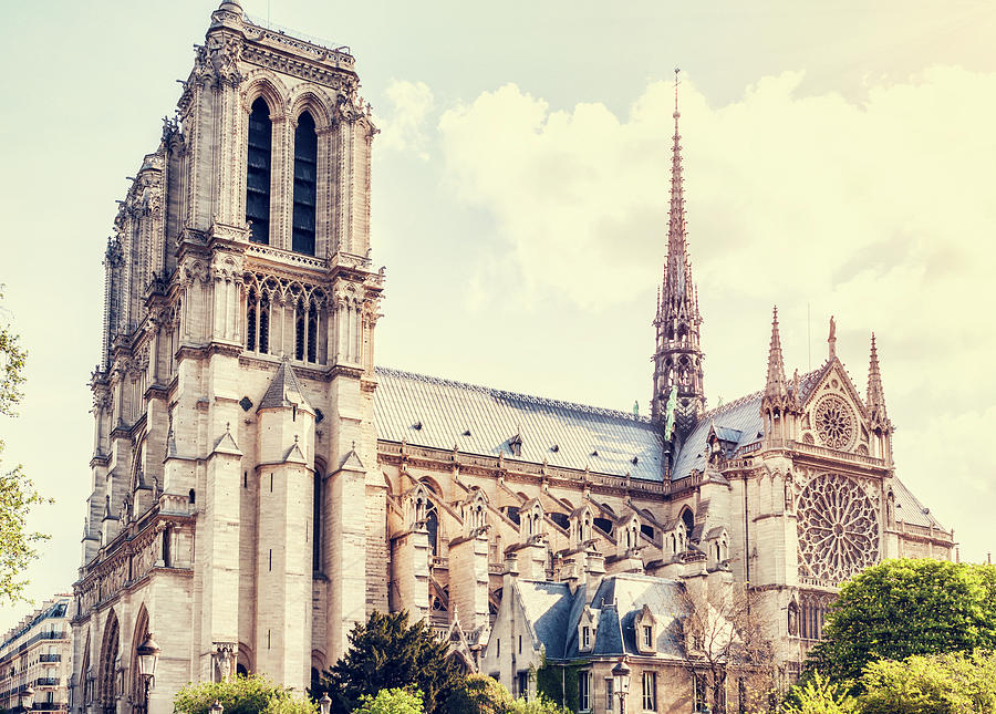 Notre Dame De Paris Photograph by Instamatics