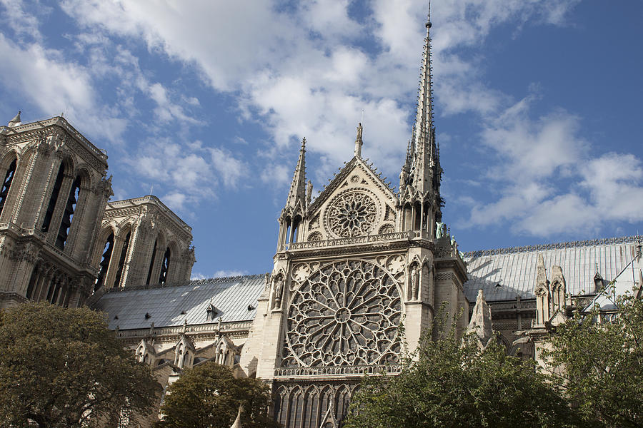 Notre Dame de Paris Photograph by Ivete Basso Photography