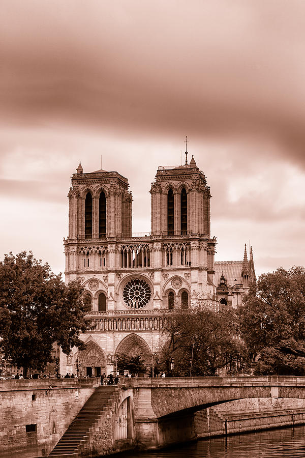 Notre Dame de Paris Toned Photograph by Georgia Clare
