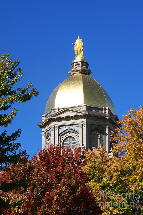 Notre Dame Golden Dome in Fall Photograph by Tammy Venable