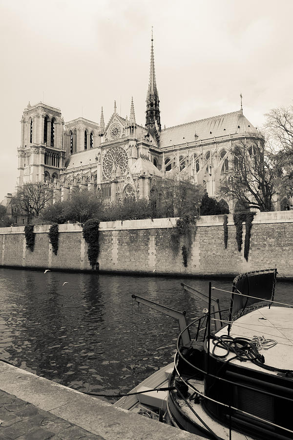 Notre Dame  Photograph by Matthew Pace