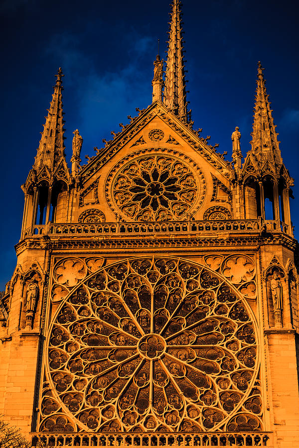 Notre Dame Motif Digital Art by Ray Shiu