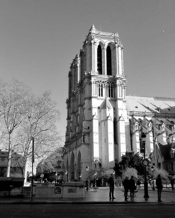 Notre Dame Paris Photograph by Lynn Bolt