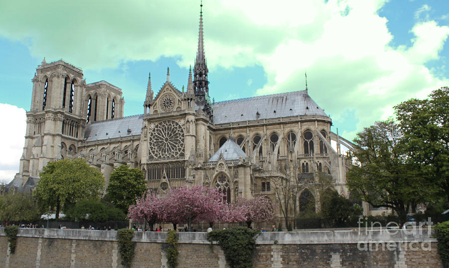 Notre Dame Photograph by Rita Brown